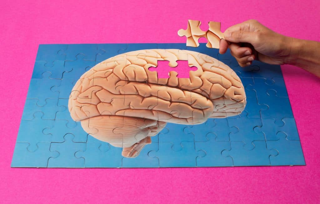 Puzzle przedstawiające ludzki mózg